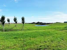 Grassland restoration in less rainfall area photo