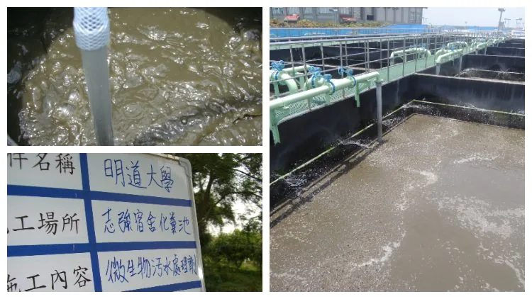 生物活性水在污水處理廠的專業應用 - 高效除臭與淨化效果