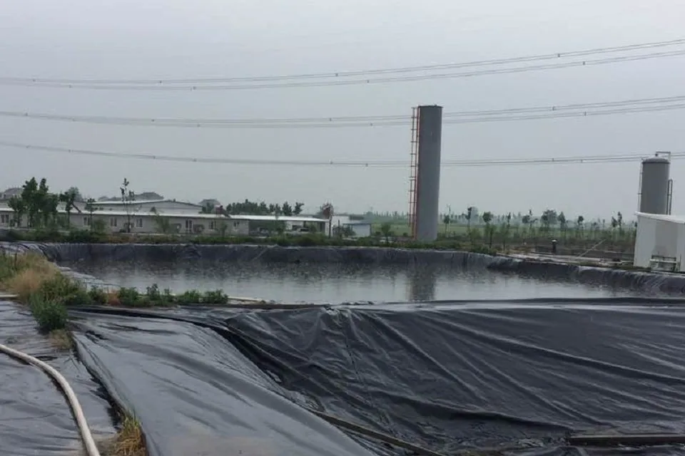 New Sun Oversea biofilter system site photo