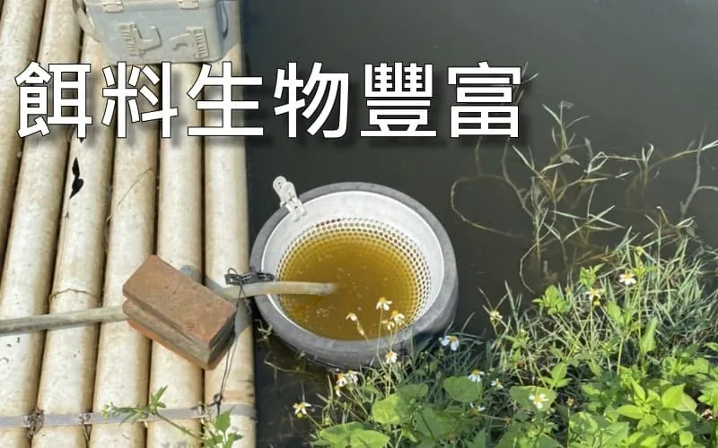 Aquaculture Active Water promotes bait organism reproduction