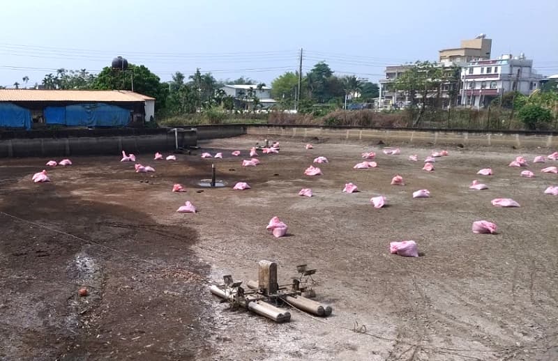 生物腐植質前置作業