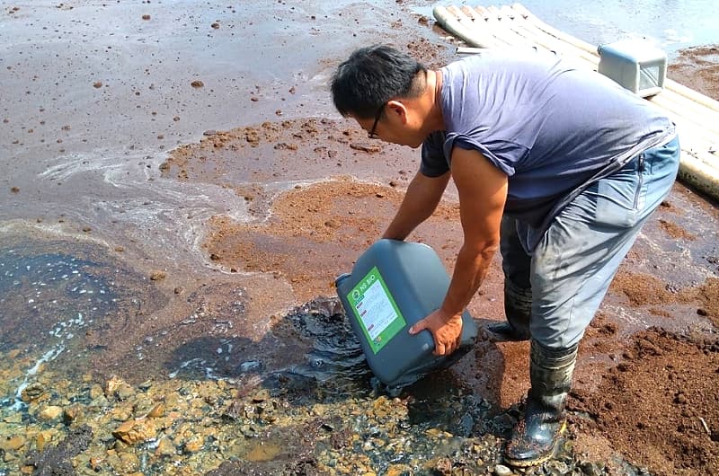 輕鬆使用生物腐植質和生物活性水